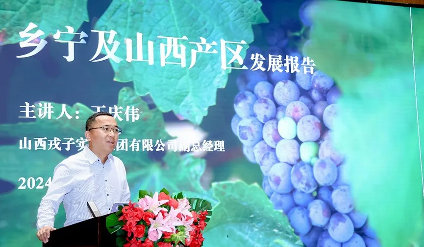 图片8.png